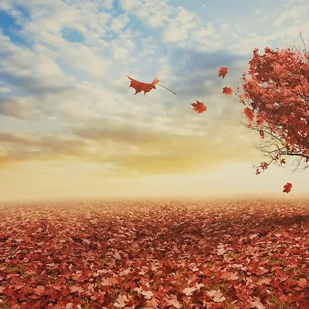 度假居 Re Lear Al