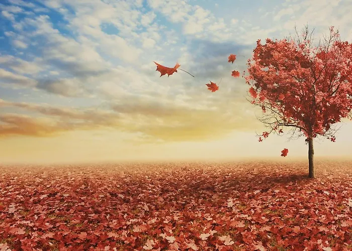 Holiday home Re Lear Al